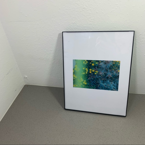 Lovely Star Original Photography Print - Picture 5 of 9